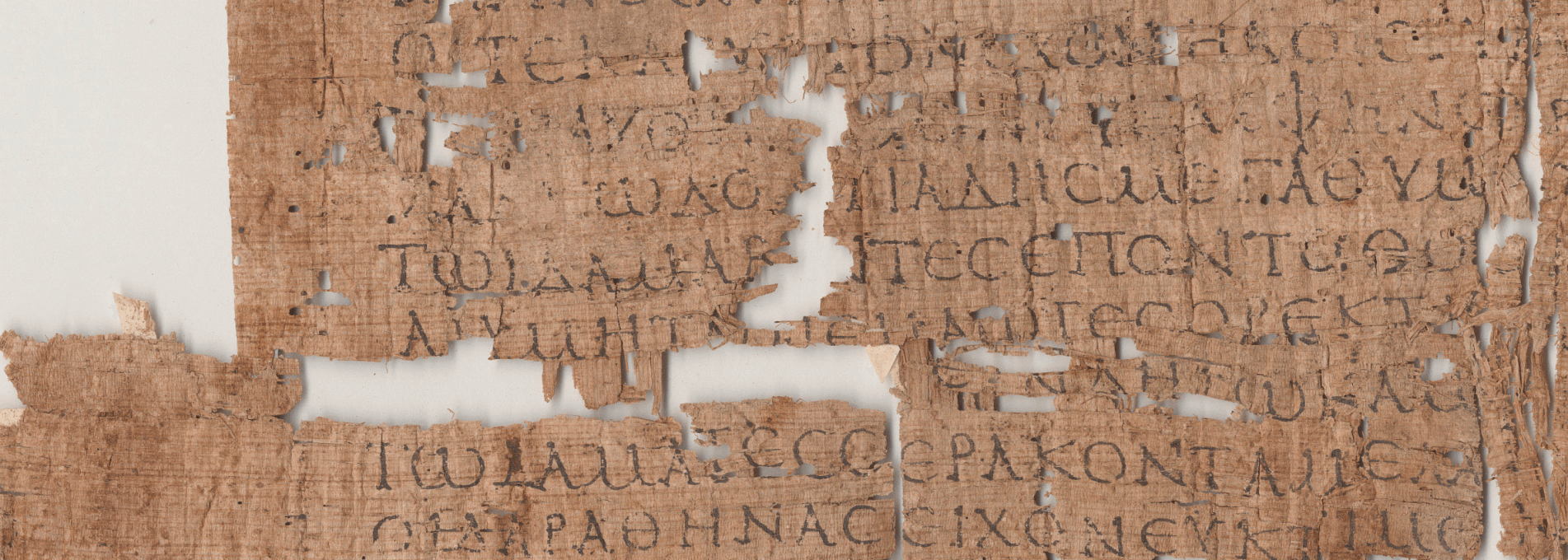 Detail from P.Tebt. 2.265 (Iliad 2.339-652), Center for the Tebtunis Papyri, UC Berkeley