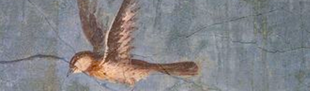 bird fresco