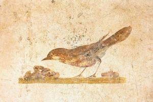 bird fresco