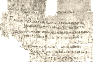 Gallus papyrus
