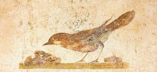 bird fresco